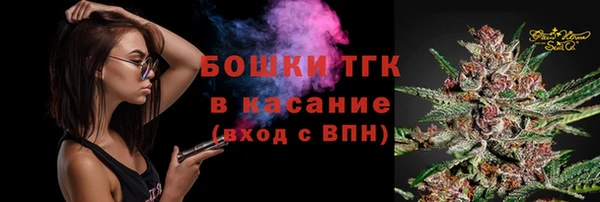 СК Каменка