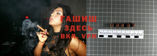индика Инта
