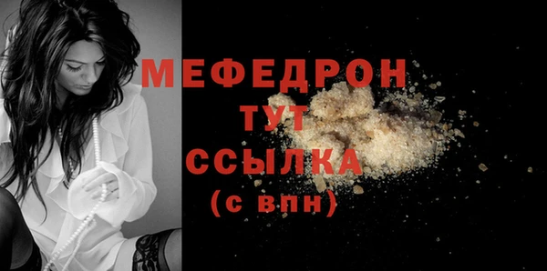 индика Инта