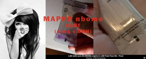 индика Инта