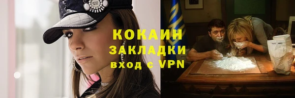 индика Инта