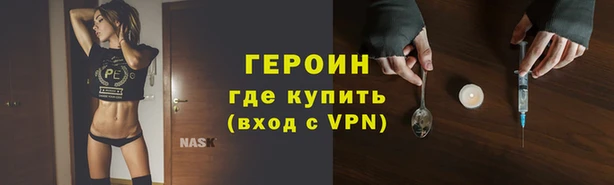 индика Инта