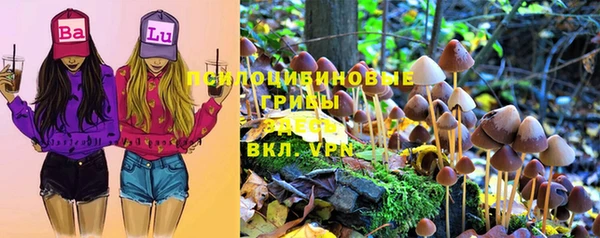 винт Каменногорск