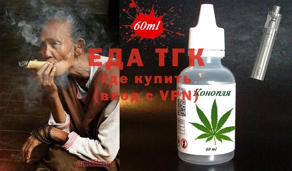 индика Инта