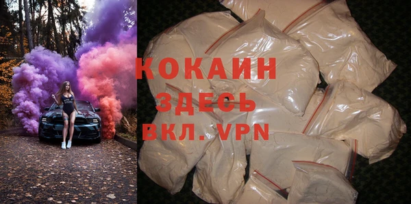 индика Инта