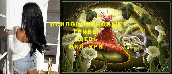 винт Каменногорск