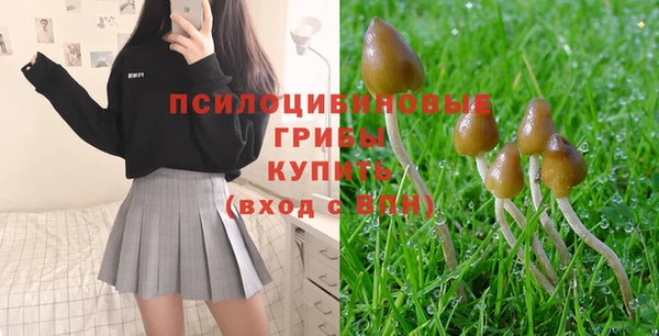 индика Инта