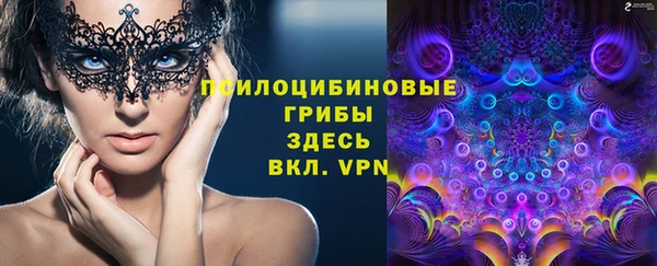 бошки Инсар