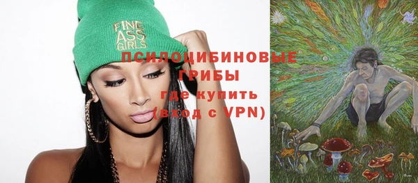 бошки Инсар