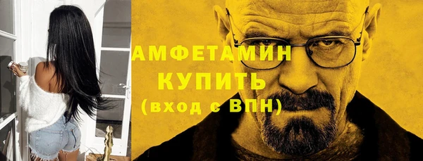 индика Инта