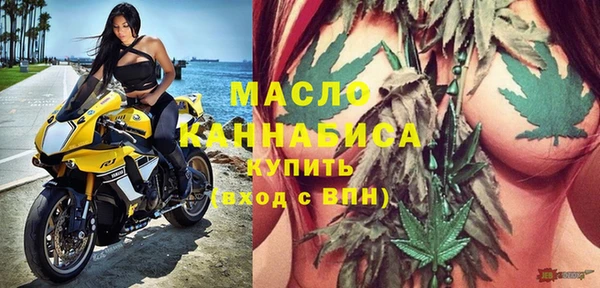 индика Инта