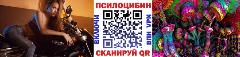 Псилоцибиновые грибы GOLDEN TEACHER  ОМГ ОМГ ССЫЛКА  Астрахань  продажа наркотиков 