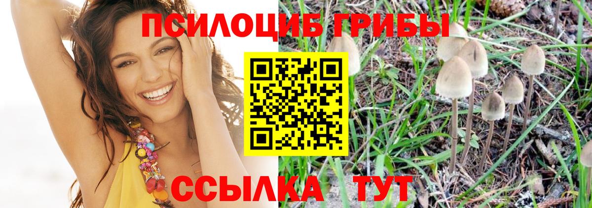 Псилоцибиновые грибы ЛСД Астрахань