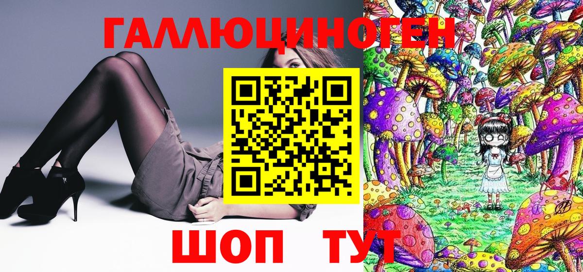 Галлюциногенные грибы Psilocybe Астрахань