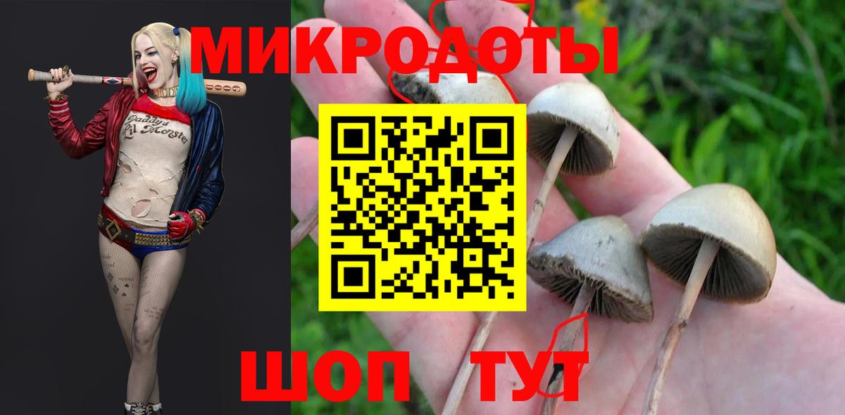 Псилоцибиновые грибы GOLDEN TEACHER  Вход с VPN  Астрахань  Псилоцибиновые грибы Psilocybine cubensis 