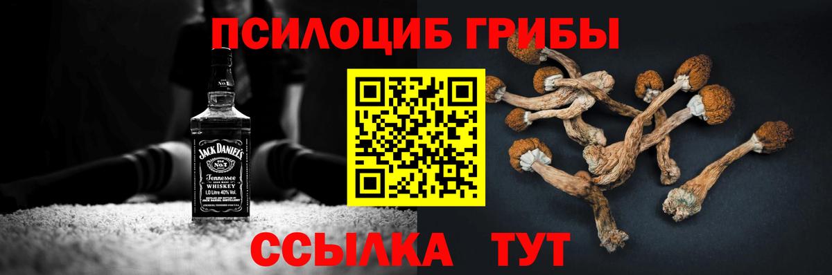 Галлюциногенные грибы Psilocybine cubensis  Астрахань 